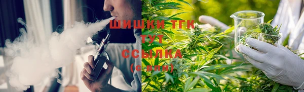 стафф Аркадак