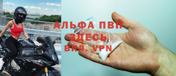 молекула духа Арсеньев
