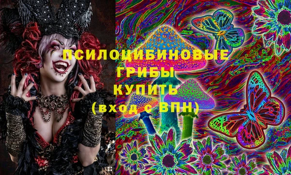 стафф Аркадак