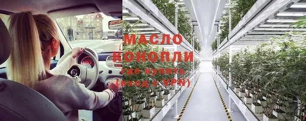 молекула духа Арсеньев