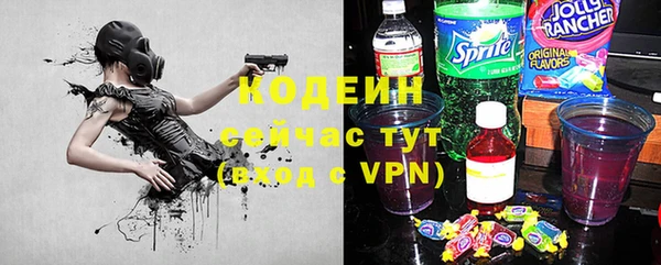 молекула духа Арсеньев