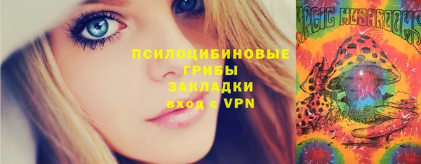 молекула духа Арсеньев